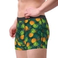 thumbnail image 4 of Balery Pineapples with Palm Leaves Men's Boxer Briefs, Soft and Breathable Cotton Underwear with nylon Waistband-X-Large, 4 of 9