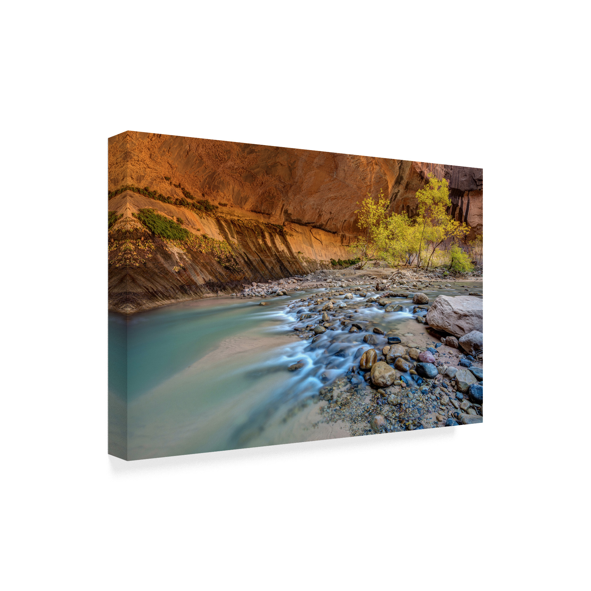 Trademark Fine Art 'Virgin Narrows Zion' Canvas Art by Pierre Leclerc