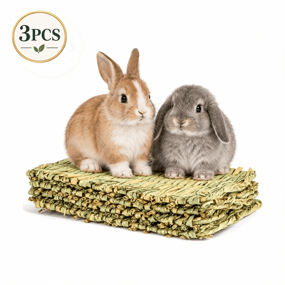 RYLZX 3Pack Grass Mat Woven Bed Mat for Small Animal Bunny Bedding Nest Chew Toy Bed Play Toy for Guinea Pig Parrot Rabbit Hamster Rat