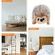 thumbnail image 3 of Erizo de peluche, juguete de peluche, muñeco de peluche suave, 3 of 7