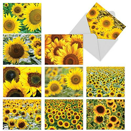 'M6065 SUNNY SIDE UP' 10 Assorted Thank You Greeting Cards Showcasing Big Sunny Fields of Yellow Sunflowers with Envelopes by The Best Card