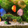 thumbnail image 3 of Árbol de pino realista Tanque de peces Aquarium Decoración Ornamento Bonsai DIY Accesorio, 3 of 4