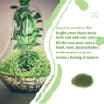 thumbnail image 3 of Bearachild Decoración de terrario Suministros de diorama de la selva tropical Medio hecho a mano Cubierto de verde Decoración del hogar Nº 42 3*5cm, 3 of 6
