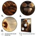 thumbnail image 3 of Designart "Creature Mane In Grasslands" Animals Floater Framed Wall Art Living Room, 3 of 7