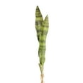 thumbnail image 1 of Planta realista ecológica Naiovety 3 hojas 68 CM, 1 of 6