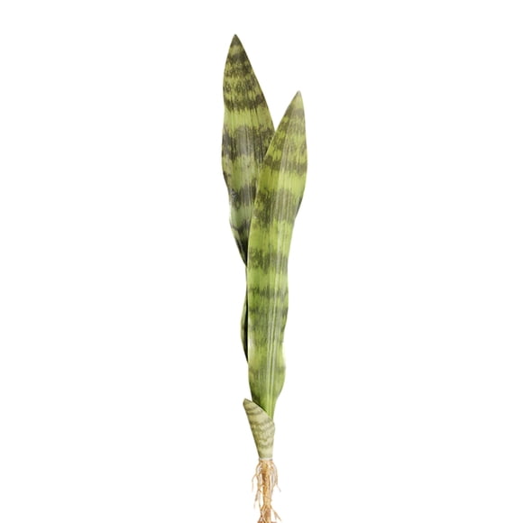 Planta realista ecológica Naiovety 3 hojas 68 CM
