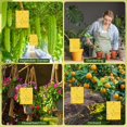 thumbnail image 4 of Lantuu 10-Pack Yellow Sticky Traps, Double-Sided Waterproof Insect Catcher, Non-Toxic Glue Traps for Flying Insects, Fungus Gnats, Fruit Flies, Aphids, Thrips, for Indoor/Outdoor Plants, 4 of 6