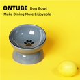 thumbnail image 3 of Ceramic Raised Cat Dishes or Small Dog Bowl, Pet Food or Water Bowls,5.3-Inch Gray 10oz, 3 of 5