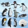 thumbnail image 4 of zhaomeidaxi 11Pcs/ Set Realistic Penguin Figurines, PVC Antarctic Animal Figures Antarctic Set with Different Varieties of Penguin, Shelf Decor Birthday Gift for Kids Toddlers, 4 of 7