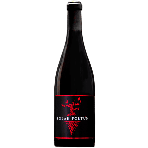 Vino Tinto Vid Mexicana Solar Fortun Noble Cru Magnum