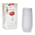 thumbnail image 3 of The Amaranth Vase - 10 Inch Smarter Vase for Floral Care, 3 of 8