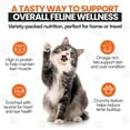 thumbnail image 4 of Cat by Scoochie Sensations Mixed Variety Pack Catnip, Chicken, Tuna Filled Crunchy Cat Treats, 3CT, 4 of 6