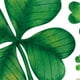 thumbnail image 4 of D St Patricks Day Decorations Stickers, St. 'S Day Window Clings Decor, 4 of 5