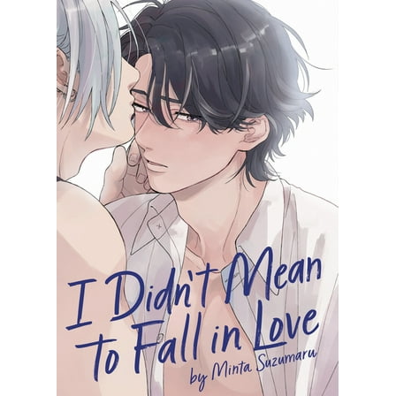 I Didn't Mean to Fall in Love (Paperback)