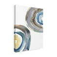 thumbnail image 2 of Trademark Fine Art 'Cassini IV' Canvas Art by Chariklia Zarris, 2 of 4