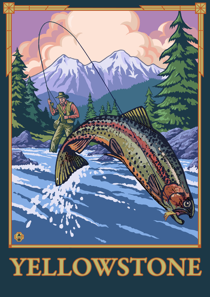 Travel poster fly fishing in united states Vector Image