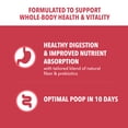 thumbnail image 5 of IAMS Proactive Health Minichunks Adult Dry Dog Food with Lamb & Rice, 15 lb. Bag, 5 of 9
