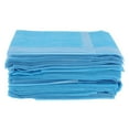thumbnail image 3 of 60 Pcs Lit d'Incontinence Imperméable pour Patients 50x60 cm, 3 of 6