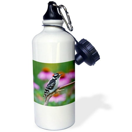 3dRose Downy Woodpecker near flower garden, Marion, Illinois, USA., Sports Water Bottle,