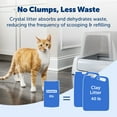 thumbnail image 6 of PetSafe ScoopFree Premium Fresh Crystal Cat Litter, Lightly Scented, 3 Packs of 8 lb bags, 6 of 7