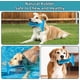 thumbnail image 5 of RUCACIO Juguetes para masticar perros, cepillo de dientes resistente y duradero para perros, 5 of 5
