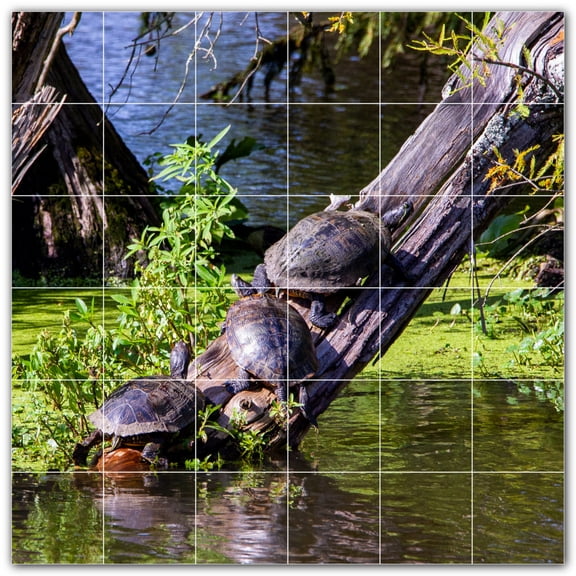 Picture-Tiles.com: Turtle Ceramic Tile Wall Mural WAL501057-66M. 36"W x 36"H using (36) 6" x 6" Ceramic Tiles-Satin Finish