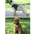 thumbnail image 4 of Breathable Air Mesh Small Dog Harness Leash Set Pet Puppy Vest for Walking Dog, 4 of 4