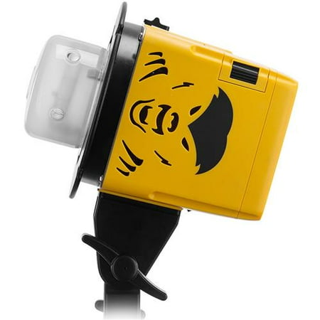 - Interfit Badger Unleashed 250Ws Compact Flash Head