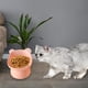 thumbnail image 5 of Comedero elevado para gatos Comederos elevados Platos para gatos y gatitos Antivuelco Bonito Rosa, 5 of 9