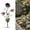 B, variant on Whimsical Metal Carnivorous Plant Garden Stake Large Venus Fly Trap Live Plant Sculpture Outdoor Yard Art Venus Flytrap Decor for Flower Beds Patios (B)