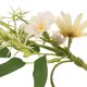 thumbnail image 3 of unbranded 6Ud Servilletas Con Flores Realistas Para Ambientar Fiestas De Té Y Banquetes, 3 of 6