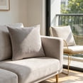 thumbnail image 3 of Dvumao Solid Color Velvet Pillow Cover, Sofa Cushion Cover for Living Room and Bedroom, Hidden Zipper, Machine Washable, 3 of 5