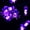 Purple2, variant on 10ft LED Halloween String Lights For House Party Decorations Featuring Pumpkin Ghost & Spider Designs
