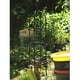 thumbnail image 5 of Soporte para plantas, marco de escalada, soporte para jaula para plantas, marco de soporte para plantas de forma cónica, 5 of 13