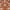Terracotta, variant on Unique Loom Cape Cod Espahan Rug Terracotta/Black 7' 10" x 10' Rectangle Floral Traditional Perfect For Living Room Bed Room Dining Room Office