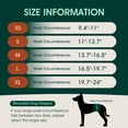 thumbnail image 2 of Kuoser Reusable Dog Diaper, Period Pant for Females in Heat & Incontinence Wrap for Males, Washable, Blue, M (1 Pack), 2 of 7
