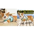 thumbnail image 3 of Dog Harness Cooling Vest Adjustable Breathable Mesh Pet Summer Cooler Jacket, 3 of 9