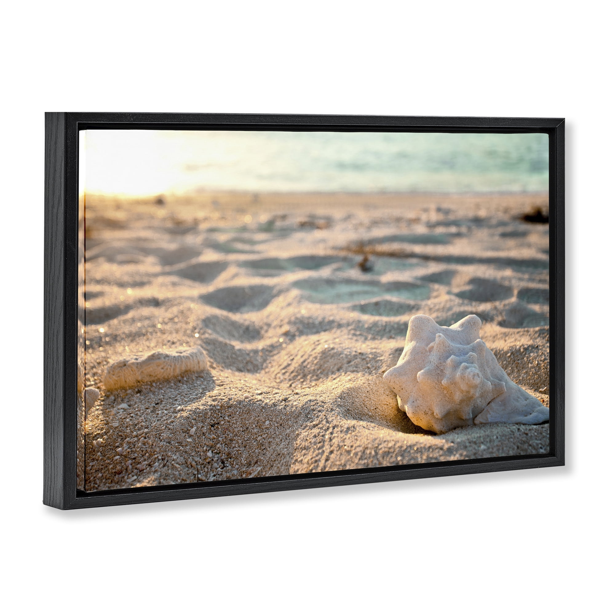 Stupell Industries Conch Shell in Sand Coastal Photography Black Floater Framed Canvas Art Print Wall Art, 31 x 21