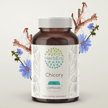 HerbEra Chicory Capsules, Herbal Dietary Supplement for Digestive Support, Chicory (Cichorium Intybus) Dried Root Capsules, Natural, 120 Capsules
