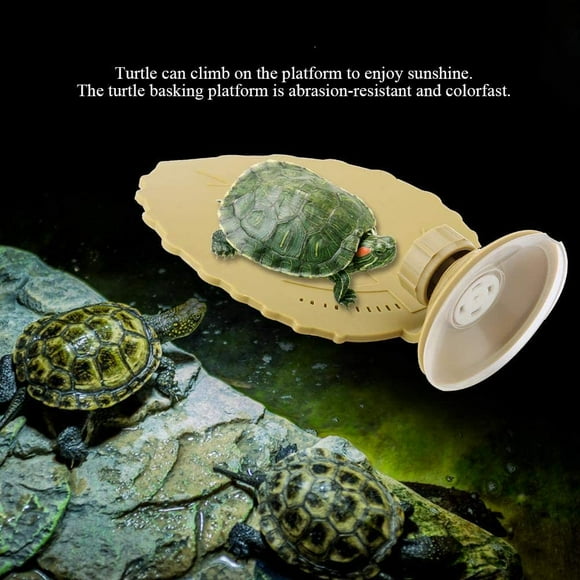 Turtle Platform Plastic Turtle Turtle Patio Reptile Habitat