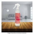 thumbnail image 4 of Spray Mainstays Juicy Spark 250 ml, 4 of 4