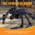 thumbnail image 5 of Joyfy 45inch Giant Spider Halloween Decorations,Scary Spider Halloween Outdoor Party Decorations Props Halloween Yard Decorations,Black, 5 of 7