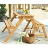 Interchangeable Picnic Table/Garden Bench