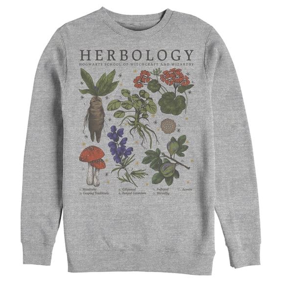Men's Harry Potter Hogwarts Herbology  Sweatshirt Athletic Heather 2X Large