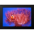 thumbnail image 2 of Wendy 24x17 Black Modern Framed Museum Art Print Titled - Finding Nemo, 2 of 5
