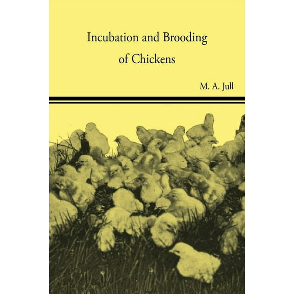 Incubation and Brooding of Chickens, (Paperback)