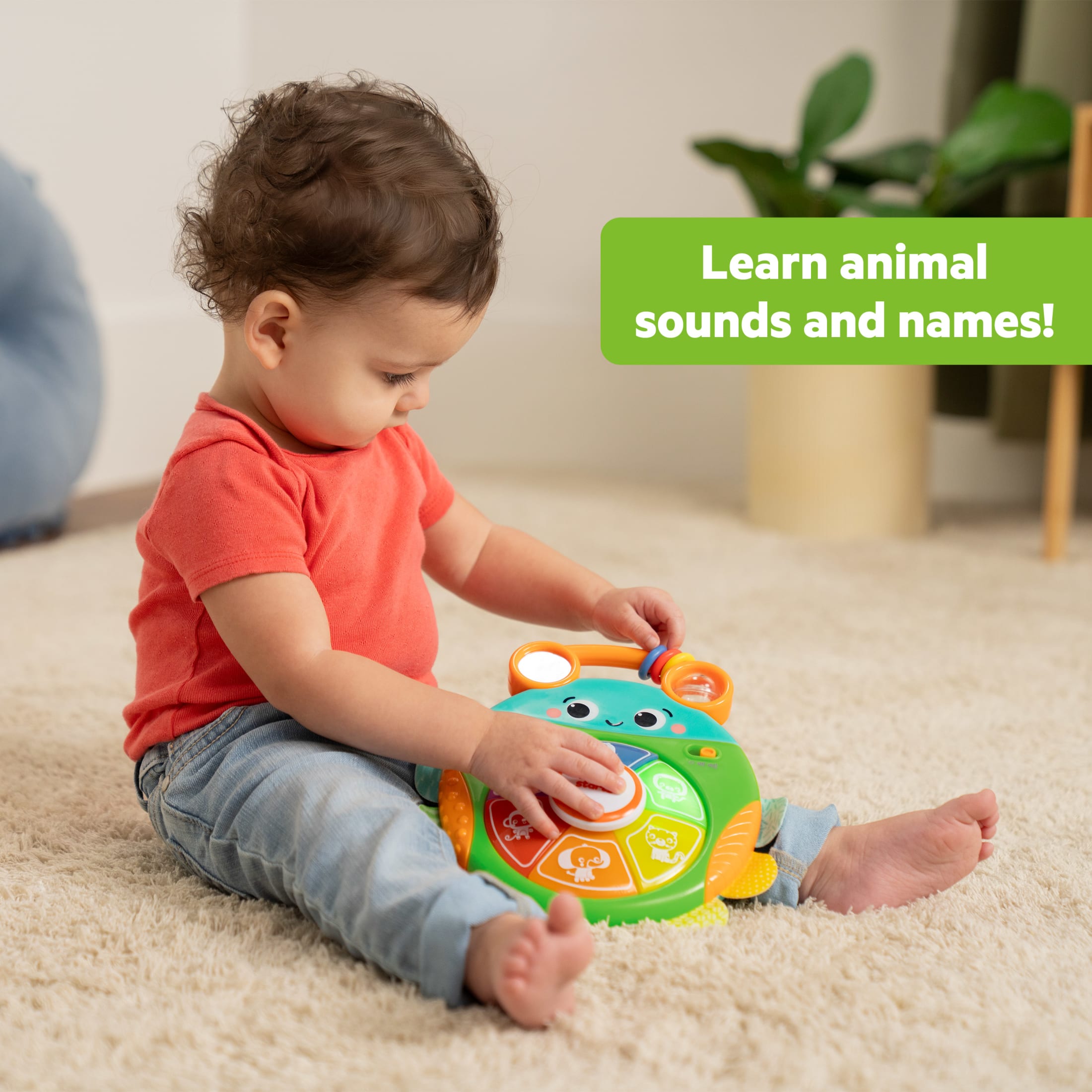 Bright Starts Safari Surprise Multisensory Toy, Unisex, Infant