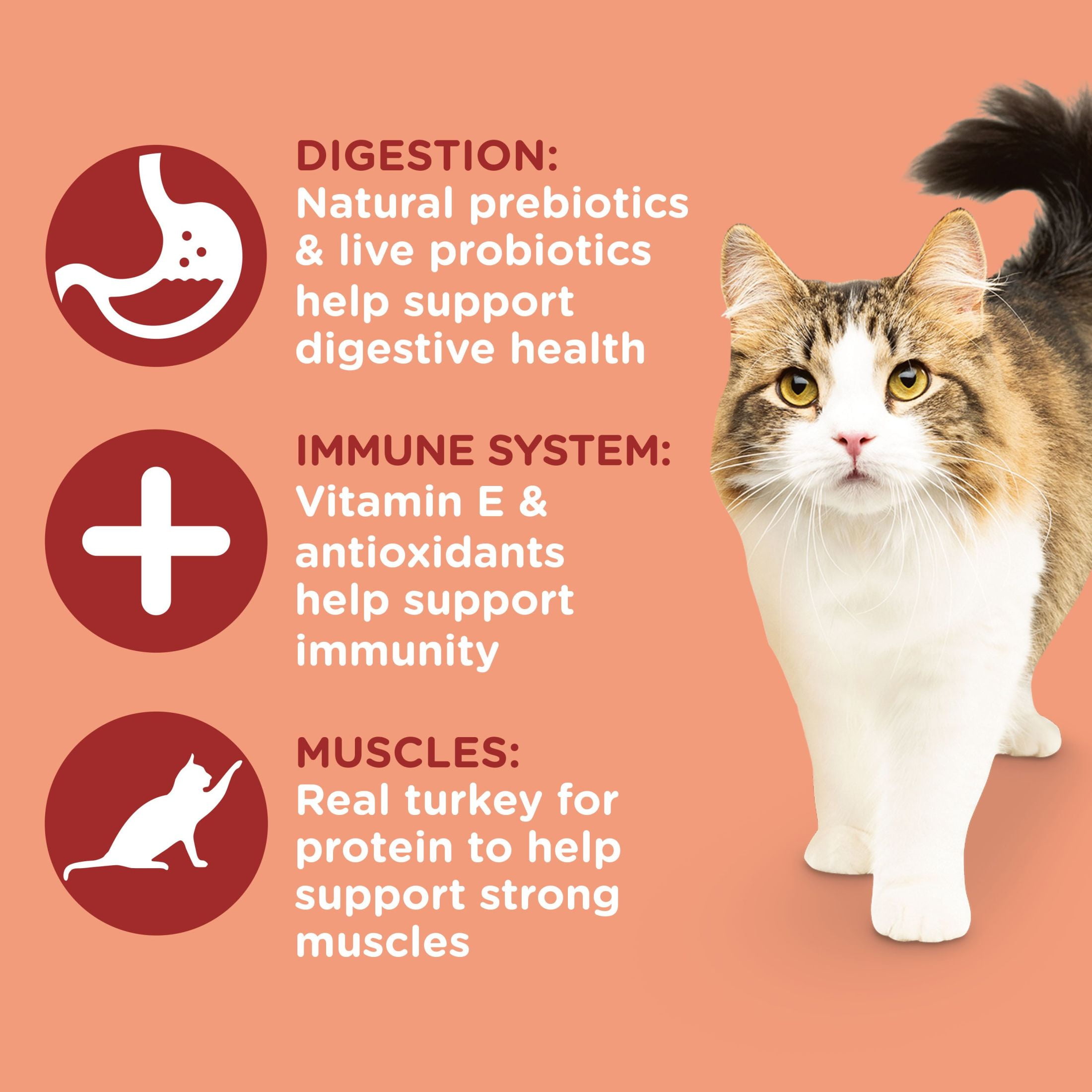 Rachael Ray Nutrish Inner Health Turkey, Chickpeas & Salmon Recipe Dry Cat Food, 14 lb. Bag