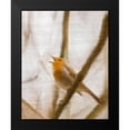 thumbnail image 2 of Kimberly, Allen 12x14 Black Modern Framed Museum Art Print Titled - Bird on a Branch 2, 2 of 5