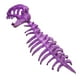 thumbnail image 2 of Disfraz de esqueleto de dinosaurio para niños, accesorio de cosplay, divertido casco 3D para cumpleaños Púrpura, 2 of 9